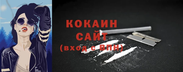 гидропоника Каменногорск