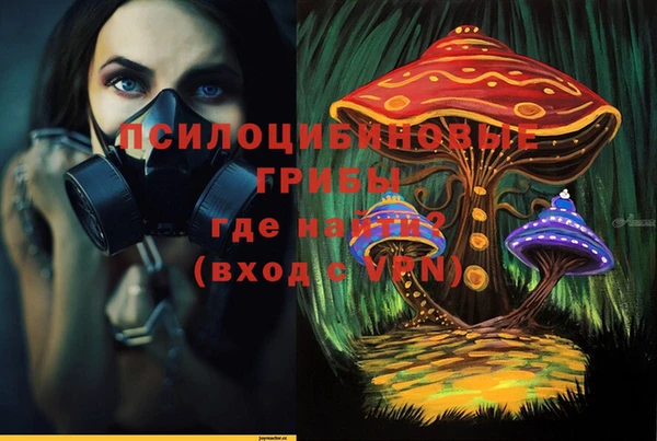 гидропоника Каменногорск