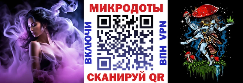 закладка  Арзамас  Псилоцибиновые грибы прущие грибы 